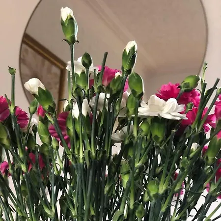 Parkfield House 住宿加早餐酒店 4*